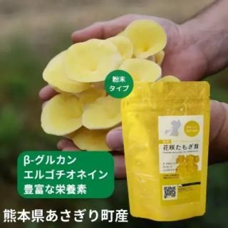 ۤꤿ⤮ʴסۡ÷ܸ100ѥξʲ