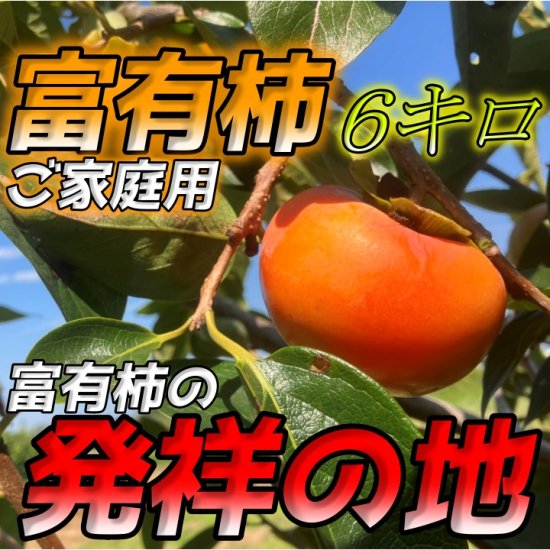 富有柿発祥の地】岐阜県産地直送のご家庭用富有柿6キロいかがですか！ - 柿の王様～岐阜県産地直送ー富有柿発祥の地～