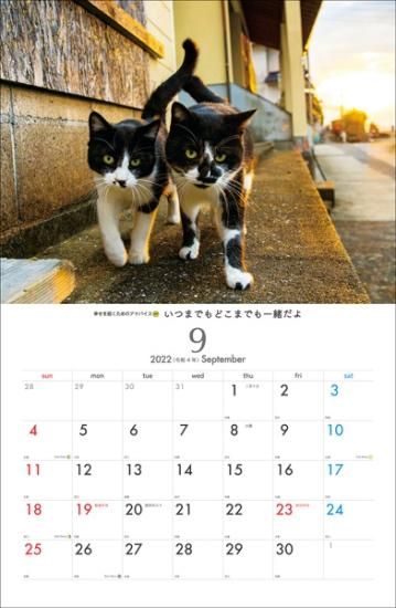 ハチワレ　招き猫 ちいかわ」ハチワレが“招き猫風”マスコットに、開運が叶う