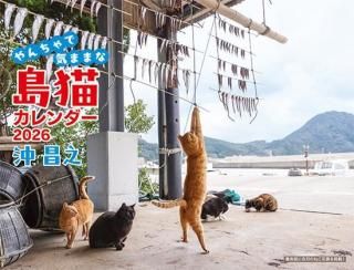 2026 沖昌之 やんちゃで気ままな島猫 - カレンダー倶楽部