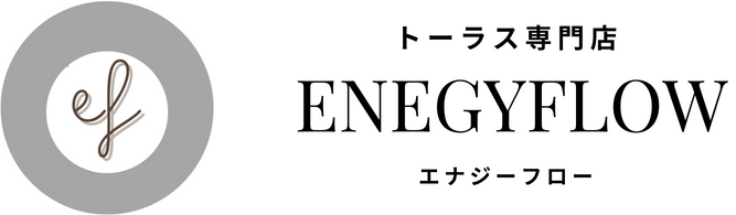 enegyflow-torus