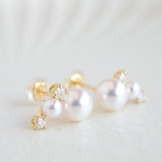 Pearl - ピアス - - 福岡県久留米市明治三十二年創業の宝石真珠の専門