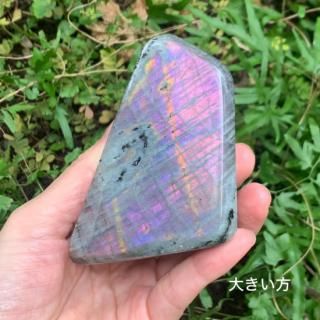 ԥ󥯡󥸤θΥ֥ɥ饤ȥڥ