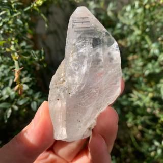 󥯥롼եեͭΥ͡ҥޡ徽ʥͥѡ롦ƥץ󻺡ˣ