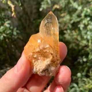 եեͭΥ͡ҥޡ徽ʥͥѡ롦ҥɥ󻺡ˣ