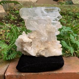 פη֥ݥͭΥꥹ륯饹ʥɡޥ˥饫󻺡