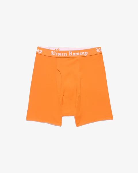 Vivien Ramsay<br>BOXER BRIEF (3 PACK)<img class='new_mark_img2' src='https://img.shop-pro.jp/img/new/icons5.gif' style='border:none;display:inline;margin:0px;padding:0px;width:auto;' />