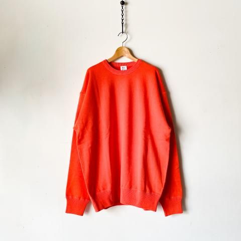 WLP<br>CREW NECK PO<img class='new_mark_img2' src='https://img.shop-pro.jp/img/new/icons5.gif' style='border:none;display:inline;margin:0px;padding:0px;width:auto;' />