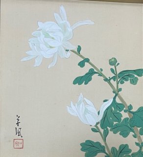 白い菊 - 新美典保アートギャラリー | 水墨画・掛け軸・水彩画・油彩画作品販売