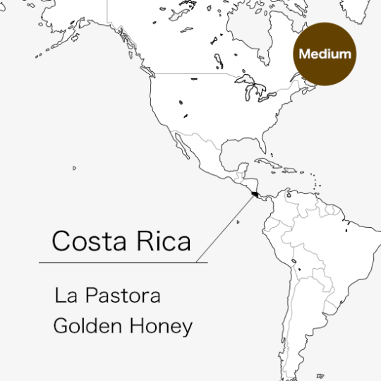 La Pastora Golden Honey