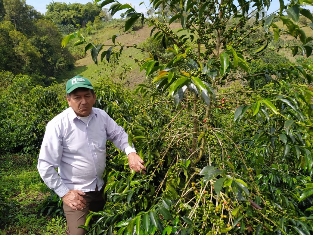 COLOMBIA BUENA VISTA FARM