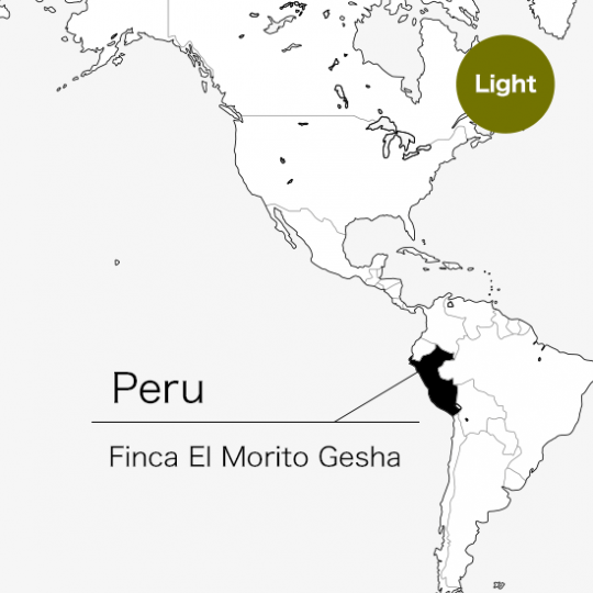 ���������Finca El Morito Gesha