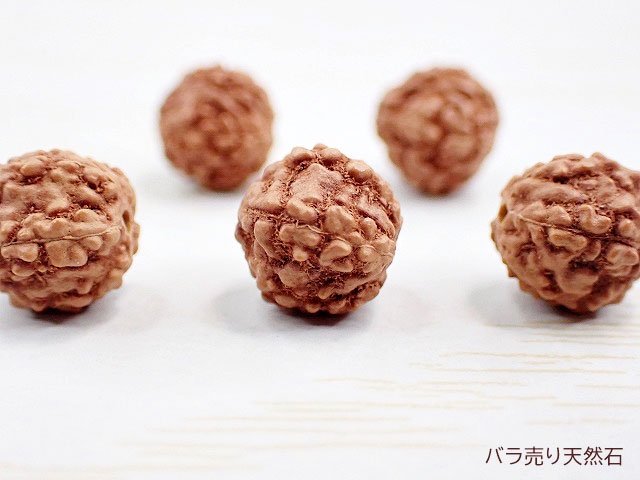 ルドラクシャ（菩提樹の実）｜丸玉・約8mm【1個160円】 - バラ