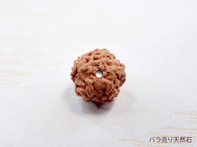 ルドラクシャ（菩提樹の実）｜丸玉・約8mm【1個160円】 - バラ売り