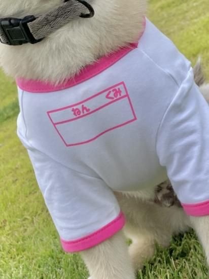さかがみ家 犬の洋服 さかがみ家オンラインストア｜さかがみ家