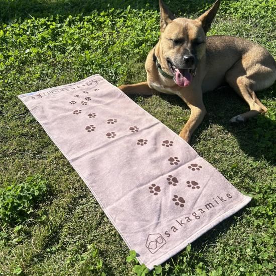 さかがみ家オンラインストア｜さかがみ家