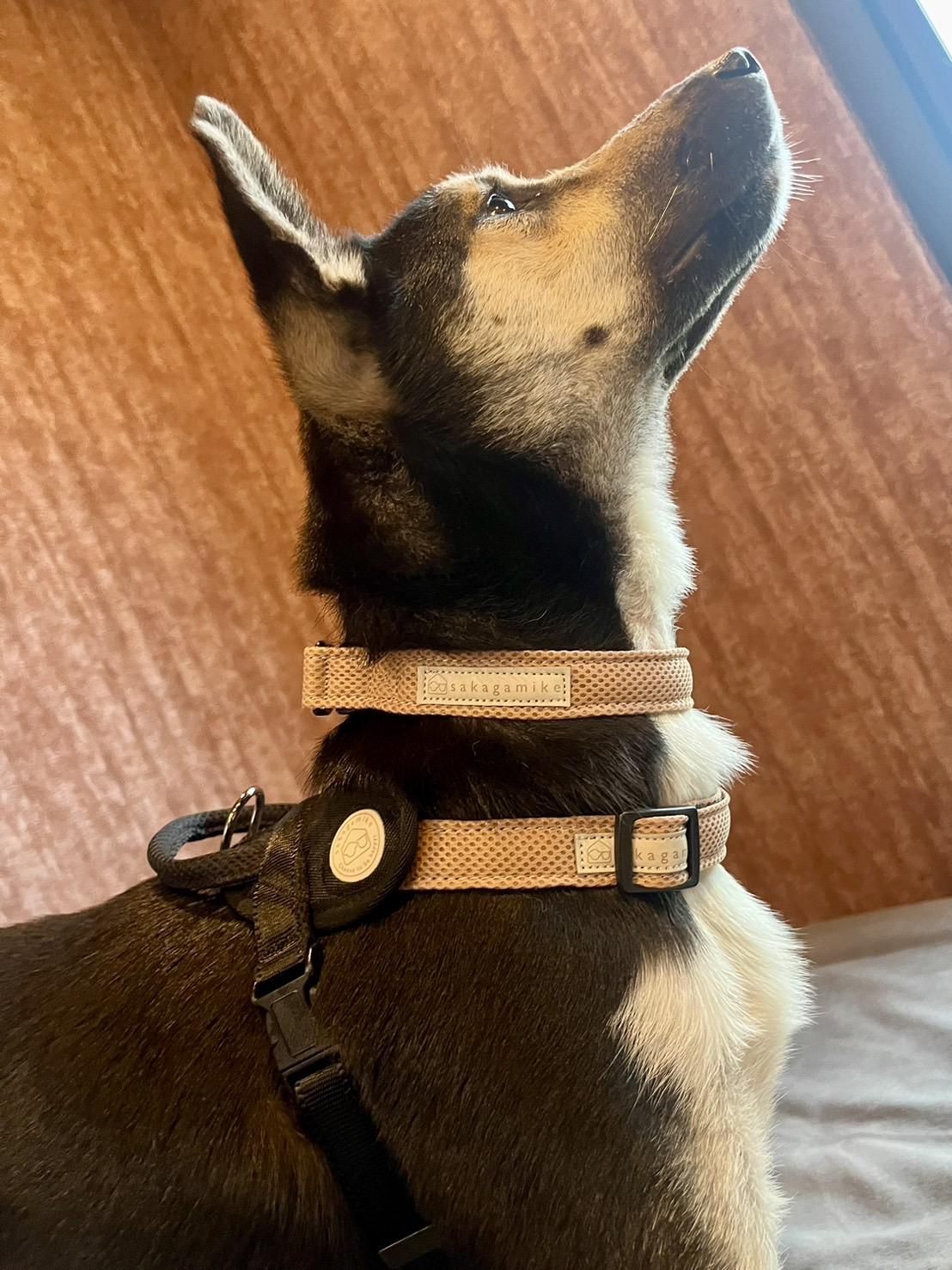 ドッググッズ - さかがみ家オンラインストア