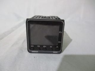 OMRON E5CC-RX2DSM-800 ǥĴ