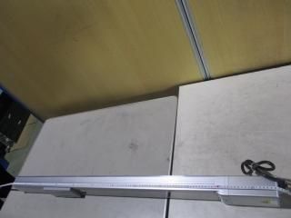  IAI RCP6-SA8C-WA-56SP-20-800-P4-X06-CJR ܥ  101cm