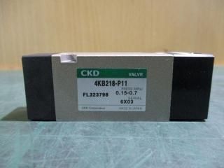  CKD 4KB218-P11 åХ