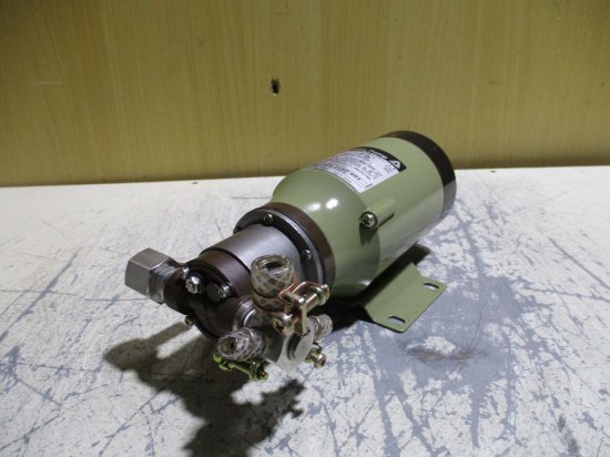 中古 IWAKI MAGNET GEAR PUMP MDG-R2RVB100-11 - growdesystem