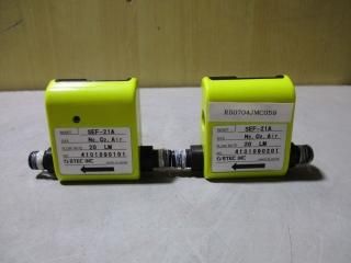  HORIBA  Mass flow meter SEF-21A 2