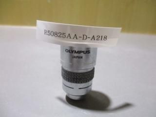  OLYMPUS ѥ A100 1.30 oil 160/0.17  ʪ