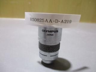 OLYMPUS ѥ A100 1.30 oil 160/0.17  ʪ
