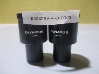  OLYMPUS WHK10X/20L ܴ 2