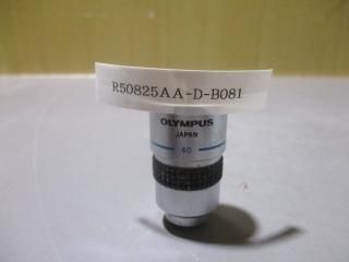  OLYMPUS  A40 0.65 160/0.17  ʪ