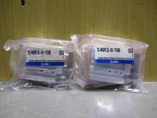  SMC 12-MGPL12-30-Y59B  2
