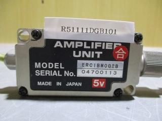 AMPLIFIER UNIT ERCIBM002B 04700113 5V