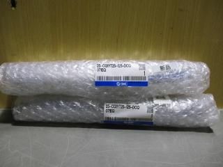  SMC 25-CG1YT25-125-DCQ071EQ 2