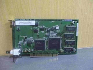  FAST PLUM-001 P-900155 