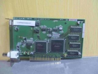  FAST PLUM-001 P-900155 