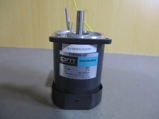  ORIENTAL INDUCTION MOTOR 5IK60A-CF 60W