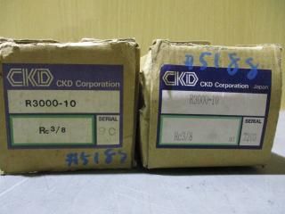  CKD R3000-10 쥮졼  2