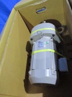  Nissei G3L40N30-MP15TNNTN 3-Phase Induction Motor 