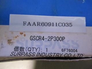 Surpass Industry  GSCR4-2P300P