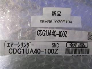  SMC CDG1UA40-100Z 