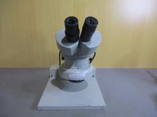  Carton DSW10*23