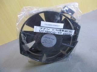 ROYAL FAN T790CG-TP ե 36/31W
