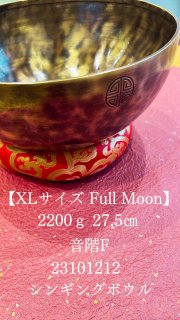 XL Full Moon 2200 27.5 F 23101212 󥮥󥰥ܥ