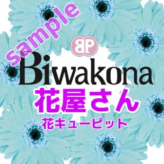 Biwakona 花キューピット