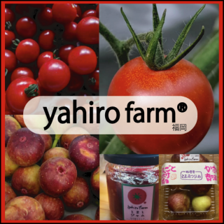 ҤեࡡYahiro farm