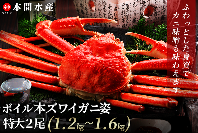 ボイル本ズワイガニ姿特大2尾(1.2kg~1.6kg) - 【公式】本間水産