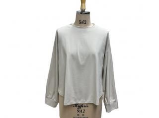 ͽayane ɥޥ󥹥꡼T