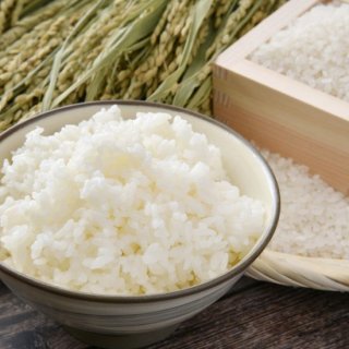 釶打米こしひかり白米10kg