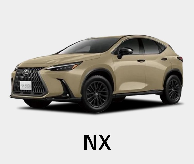 NX