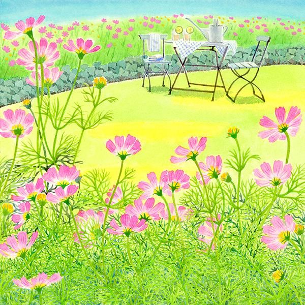 栗乃木ハルミ「コスモスにかこまれて」 - 栗乃木ハルミ（くりのき